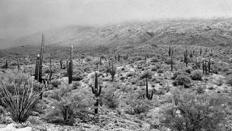 Snow in Tucson